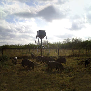 Deer Feeder Pen Panel